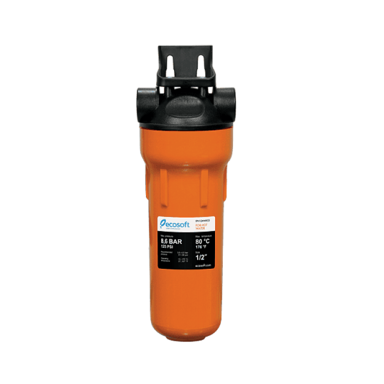 купити Фільтр для гарячої води ECOSOFT 1/2" (FPV12HWECO) - ECOSOFT Водомет в Києві