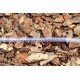 купити Шланг пвх харчовий Presto-PS Сrystal Tube діаметр 10 мм, довжина 100 м з маркуванням метражу (PVH 10 PS) - Presto-PS Водомет в Києві