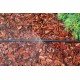 купити Мікроджет Presto-PS крапельниця для поливу Шуруп 90 л/год 180° (MJS-018) - Presto-PS Водомет в Києві купити Мікроджет Presto-PS крапельниця для поливу Шуруп 90 л/год 180° (MJS-018) - Presto-PS Водомет в Києві