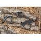 купити Кільце затискне Presto-PS для трубки 16 мм (SR-0116) - Presto-PS Водомет в Києві купити Кільце затискне Presto-PS для трубки 16 мм (SR-0116) - Presto-PS Водомет в Києві