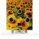 Газова колонка дим. SABIO 10 L GP-sunflower (JSD20-AG213) - sabio Газова колонка дим. SABIO 10 L GP-sunflower (JSD20-AG213) - sabio Магазин Водомет - Газові водонагрівачі