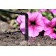 купити Крапельниця садова Presto-PS "Спиця" 2 л/год (2102) - Presto-PS Водомет в Києві